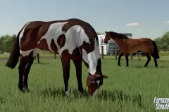 Скачать Farming Simulator 22 - торрент без вирусов бесплатно