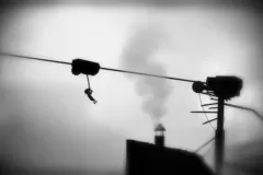 Скачать Limbo по прямой ссылке без торрентов