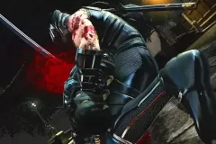 Скачать Ninja Gaiden по прямой ссылке без торрентов