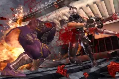 Скачать Ninja Gaiden по прямой ссылке без торрентов