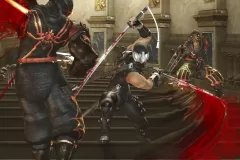 Скачать Ninja Gaiden по прямой ссылке без торрентов