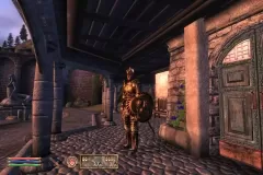 Скачать The Elder Scrolls 4 — Oblivion по прямой ссылке без торрента через Telegram