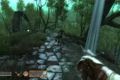 Скачать The Elder Scrolls 4 — Oblivion по прямой ссылке без торрента через Telegram