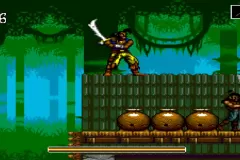 Скачать The Pirates of Dark Water на SEGA c эмулятором