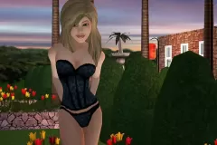 Скачать Playboy: The Mansion по прямой ссылке без торрентов