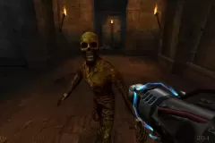 Скачать Return to Castle Wolfenstein по прямой ссылке без торрентов