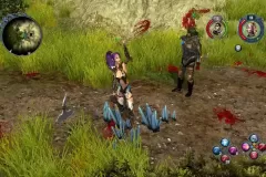Скачать Sacred 2: Gold - торрент без вирусов бесплатно