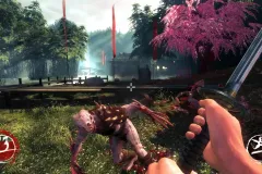 Скачать Shadow Warrior по прямой ссылке без торрента!