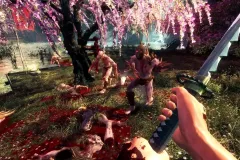 Скачать Shadow Warrior по прямой ссылке без торрента!