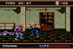 Скачать Splatterhouse 3 на SEGA русскую версию