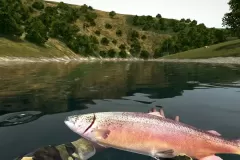 Скачать Ultimate Fishing Simulator: Gold Edition - торрент