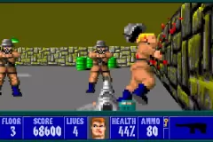 Скачать Wolfenstein 3D - торрент без вирусов бесплатно