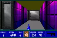 Скачать Wolfenstein 3D - торрент без вирусов бесплатно