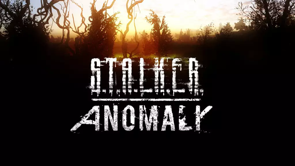 S.T.A.L.K.E.R. Anomaly